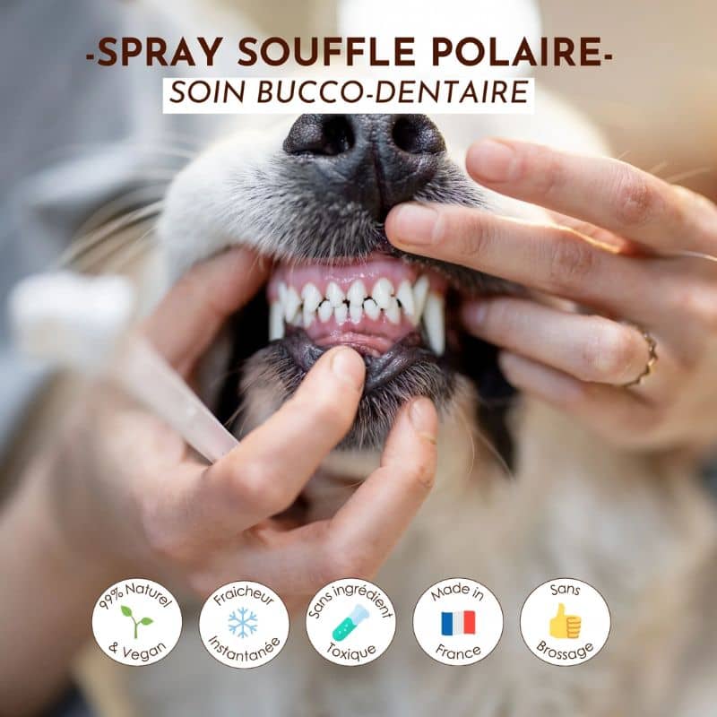 SPRAY DENTAIRE HALEINE FRAÎCHE SOUFFLE POLAIRE - POUR CHIEN - Image 3