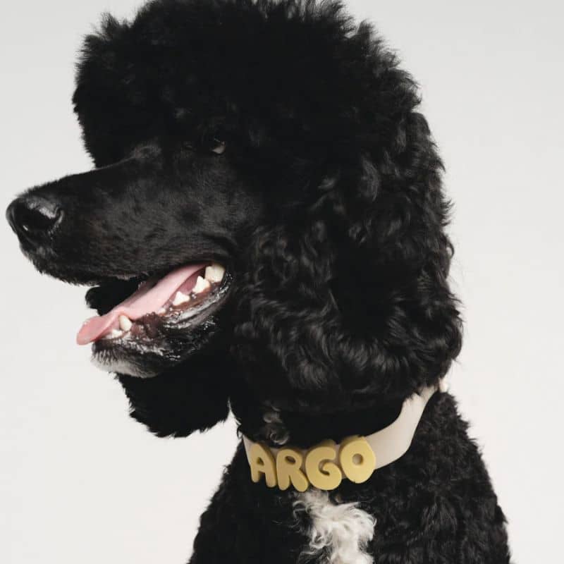 CHARMS SILICONE POUR PERSONNALISER ACCESSOIRE CHIEN - ALPHABET LILAS & JAUNE - Image 2
