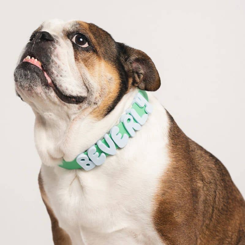 CHARMS SILICONE POUR PERSONNALISER ACCESSOIRE CHIEN - ALPHABET VERT & BLEU - Image 2