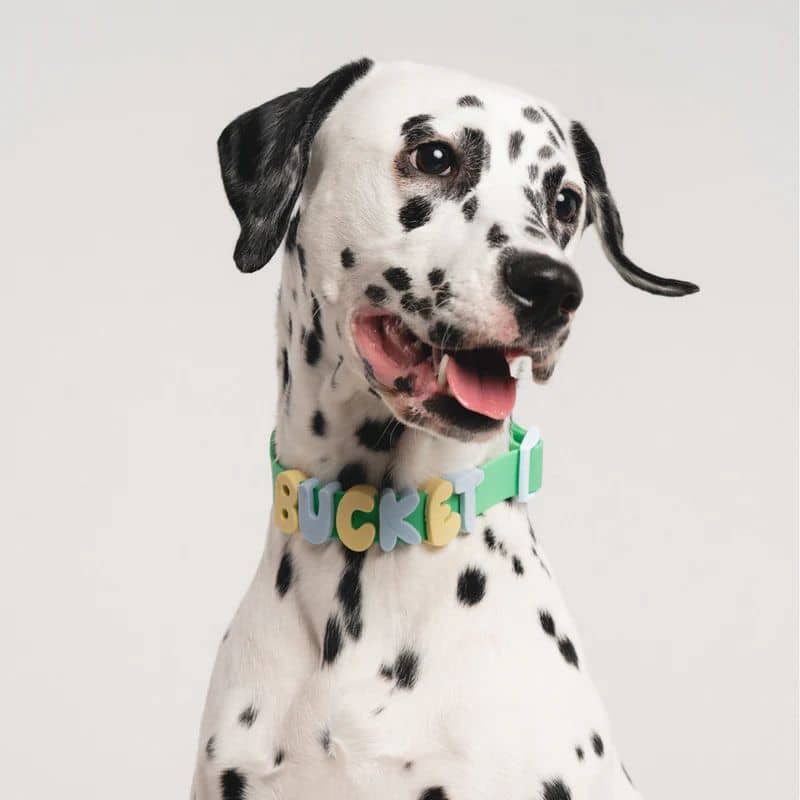 CHARMS SILICONE POUR PERSONNALISER ACCESSOIRE CHIEN - ALPHABET VERT & BLEU - Image 3
