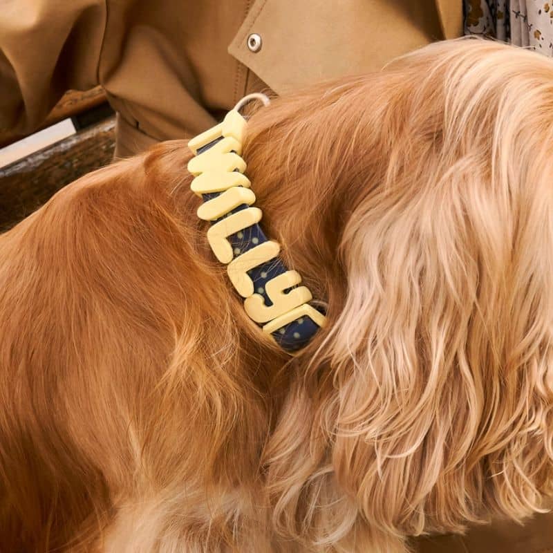 COLLIER POUR CHIEN WATERPROOF - BLEU POIS JAUNE (PERSONNALISABLE AVEC DES CHARMS) - Image 3