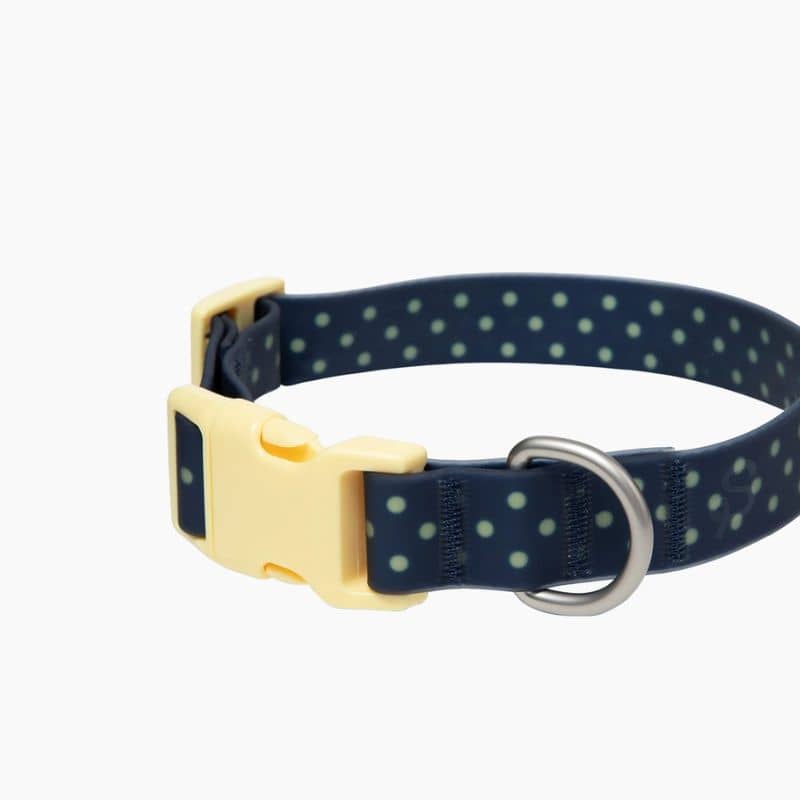 COLLIER POUR CHIEN WATERPROOF - BLEU POIS JAUNE (PERSONNALISABLE AVEC DES CHARMS) - Image 4