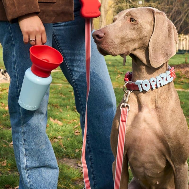 GOURDE PORTABLE POUR CHIEN AVEC DISTRIBUTEUR D'EAU RÉTRACTABLE - 590ML * ÉDITION LIMITÉE BICOLORE BLEU & ROUGE - Image 2