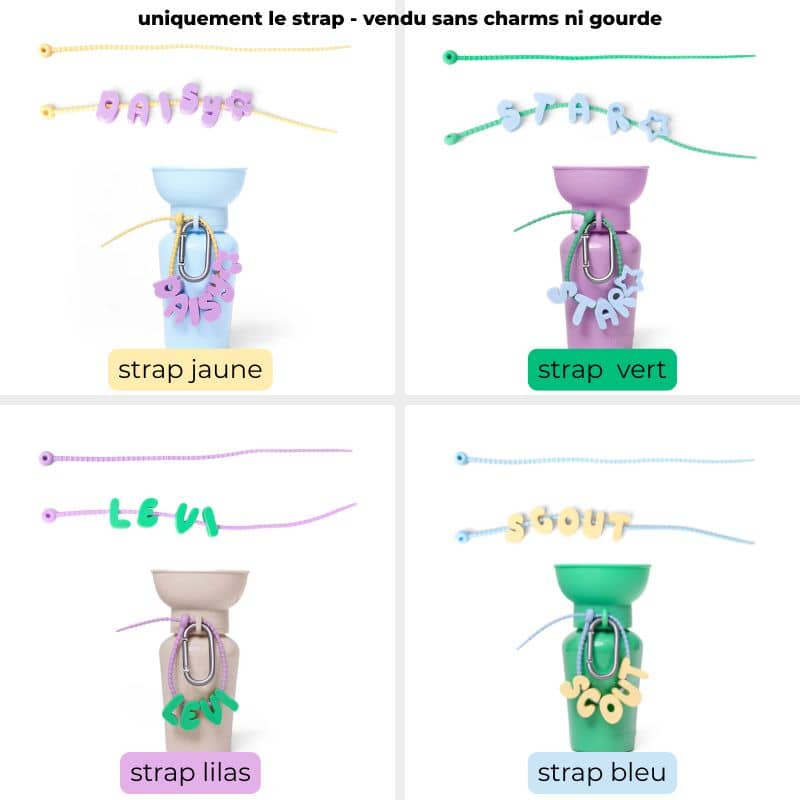 CHARMS SILICONE POUR PERSONNALISER ACCESSOIRE CHIEN - SYMBOLES & STRAPS (LILAS, JAUNE, VERT & BLEU) - Image 6