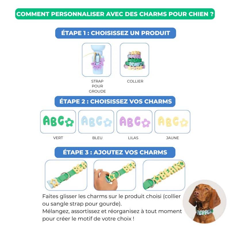 CHARMS SILICONE POUR PERSONNALISER ACCESSOIRE CHIEN - SYMBOLES & STRAPS (LILAS, JAUNE, VERT & BLEU) - Image 8