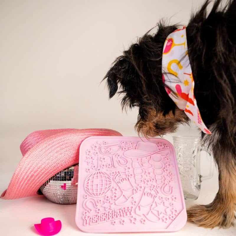 TAPIS DE LÉCHAGE ET D’OCCUPATION POUR CHIEN ET CHAT - DISCO COWGIRL - Image 3