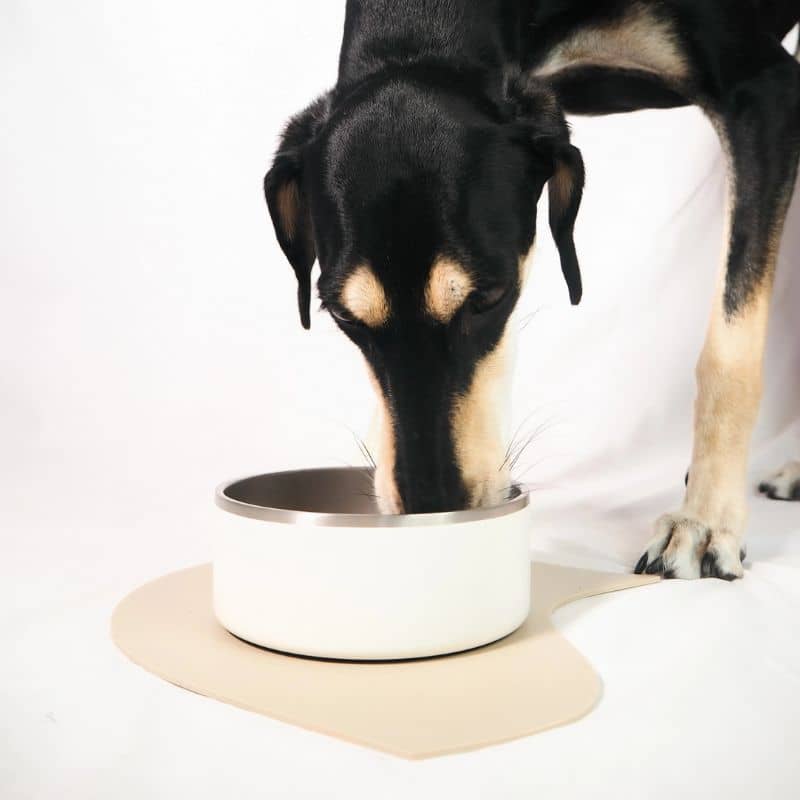 TAPIS EN SILICONE POUR GAMELLES DE CHIEN - Puzzle Placemat Affogato - Image 4