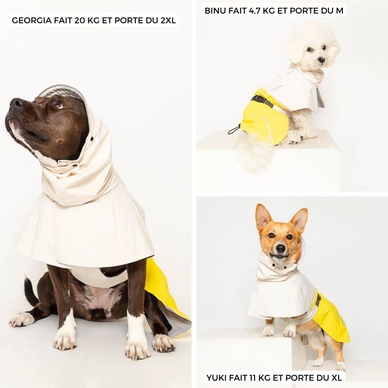 IMPERMĂABLE POUR CHIEN - ALL WEATHER JAUNE đ§ïž - Image 3