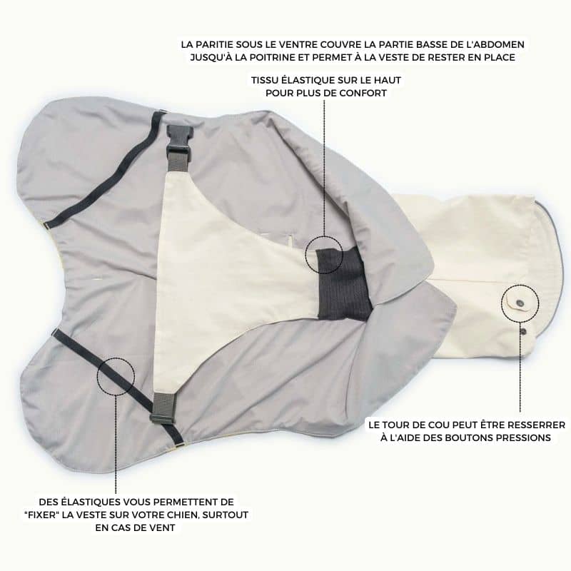 IMPERMĂABLE POUR CHIEN - ALL WEATHER JAUNE đ§ïž - Image 6