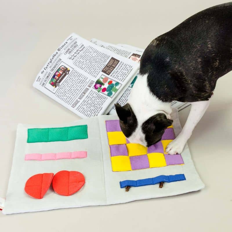 JEU D’OCCUPATION ET DE FOUILLE POUR CHIEN - JOURNAL 🗞️ - Image 2