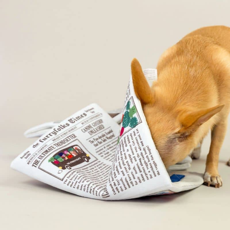 JEU D’OCCUPATION ET DE FOUILLE POUR CHIEN - JOURNAL 🗞️ - Image 3