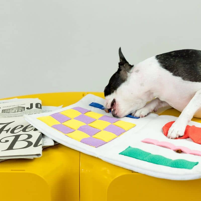 JEU D’OCCUPATION ET DE FOUILLE POUR CHIEN - JOURNAL 🗞️ - Image 4