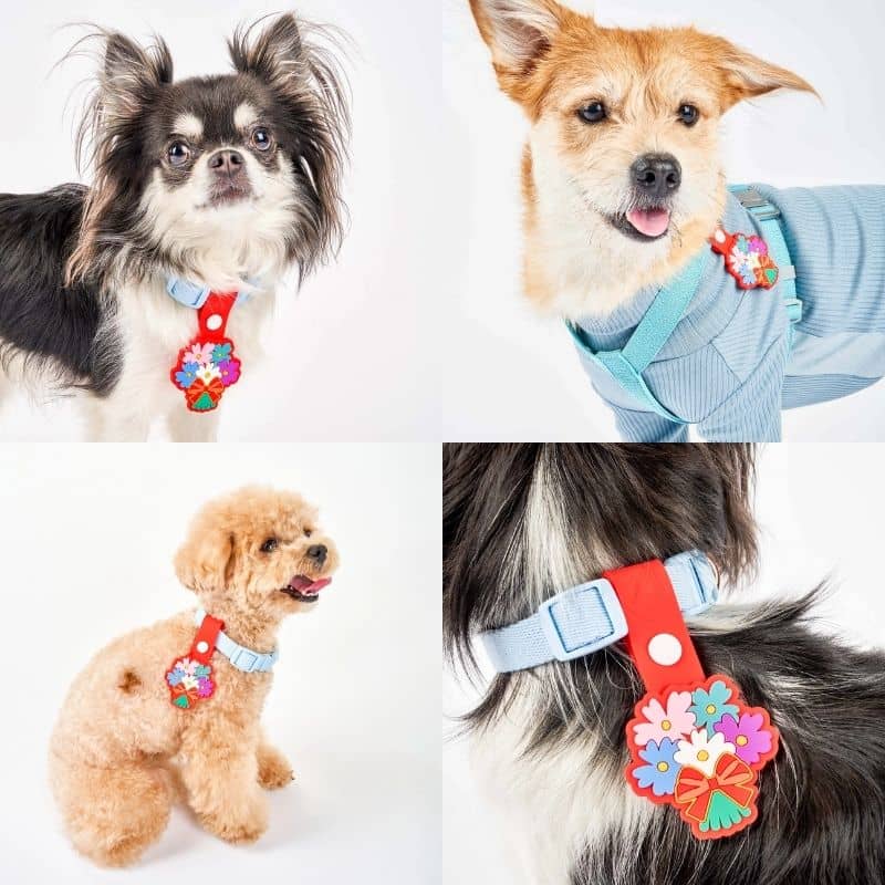 MÉDAILLE POUR CHIEN À CLIP - THE DAILY CLIP (4 DESIGNS AU CHOIX) - Image 10