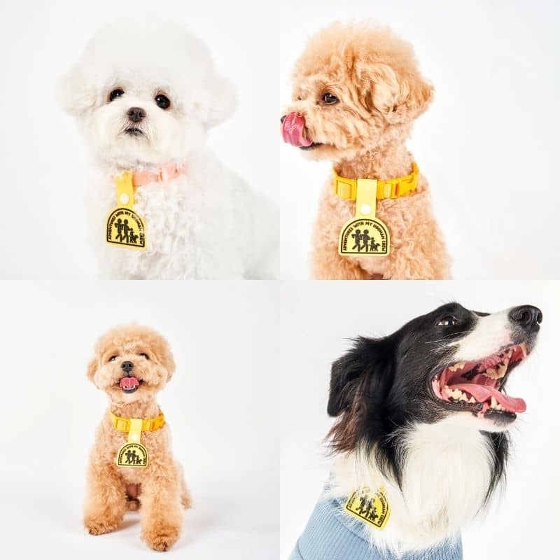 MÉDAILLE POUR CHIEN À CLIP - THE DAILY CLIP (4 DESIGNS AU CHOIX) - Image 4