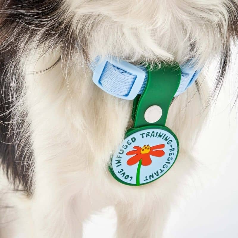 MÉDAILLE POUR CHIEN À CLIP - THE DAILY CLIP (4 DESIGNS AU CHOIX) - Image 5