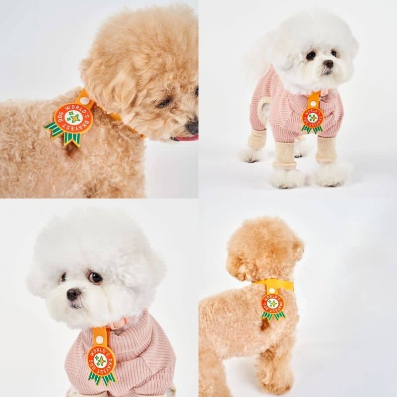 MÉDAILLE POUR CHIEN À CLIP - THE DAILY CLIP (4 DESIGNS AU CHOIX) - Image 8