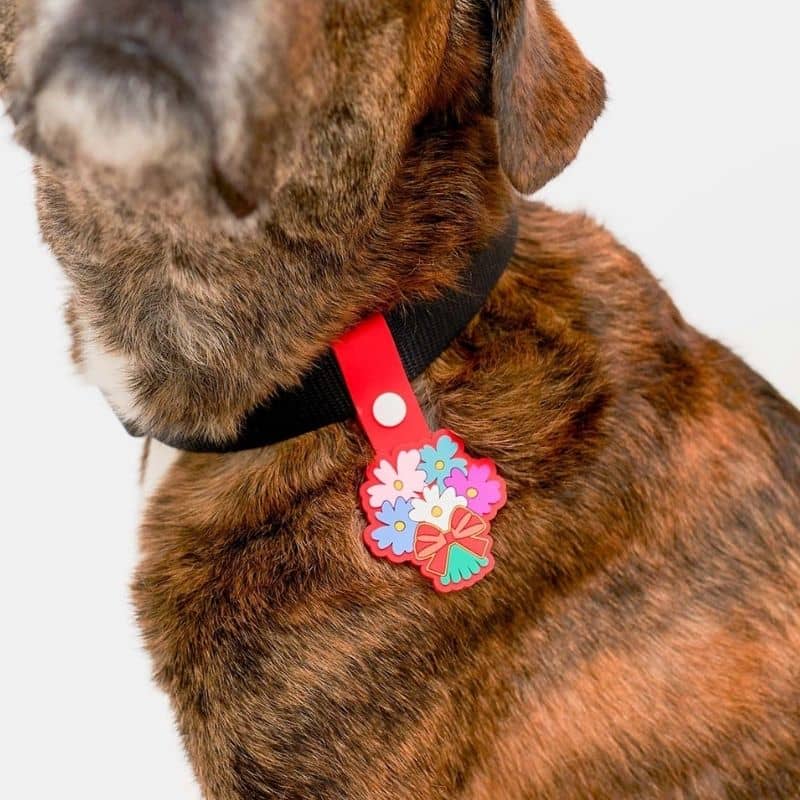 MÉDAILLE POUR CHIEN À CLIP - THE DAILY CLIP (4 DESIGNS AU CHOIX) - Image 9