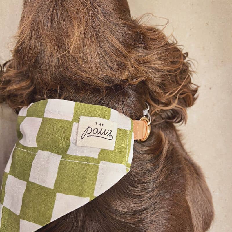 BANDANA POUR CHIEN À GLISSER SUR COLLIER - CHECKMATE VERT - Image 3