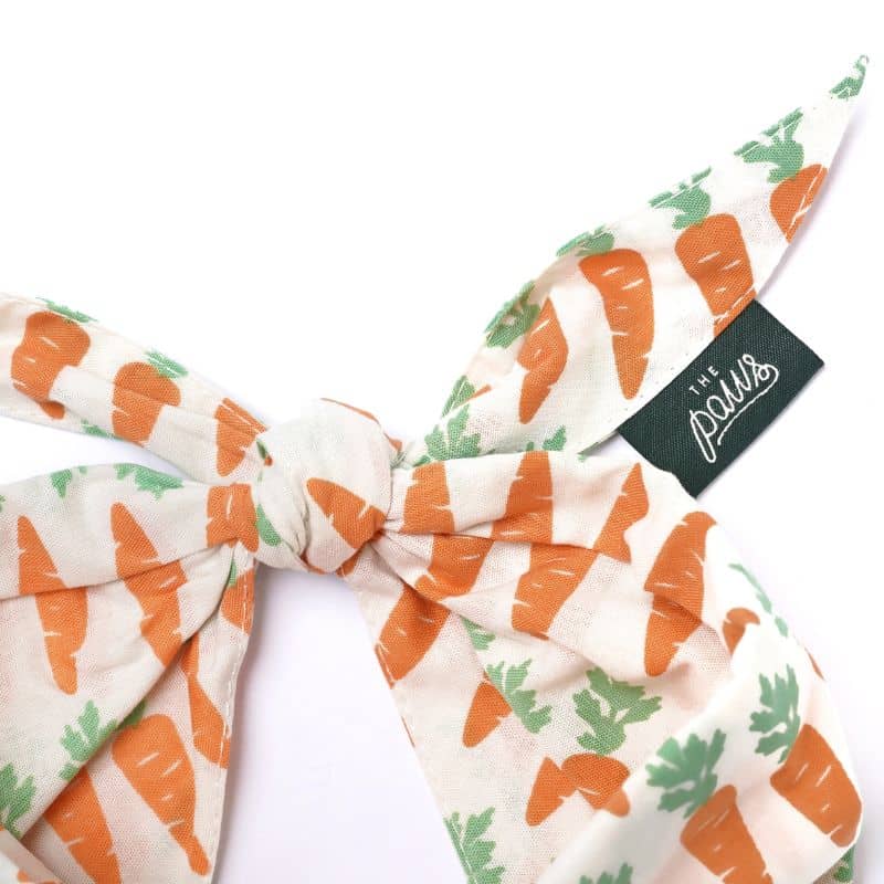 BANDANA POUR CHIEN - CAROTTE "CRUNCH" đ„ - Image 4