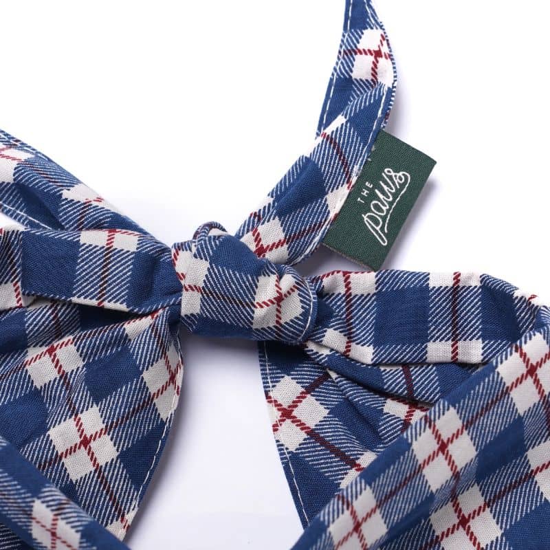 BANDANA POUR CHIEN - CARREAUX BLEU ET BLANC "APRÈS PLAID" - Image 3