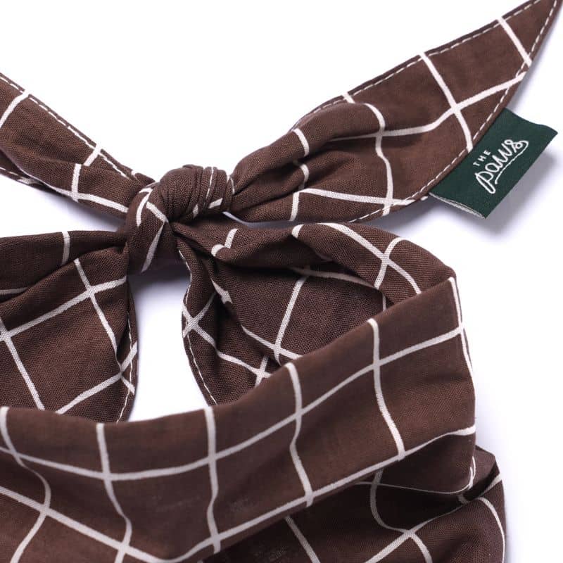 BANDANA POUR CHIEN - CARREAUX STRATFORD - Image 3