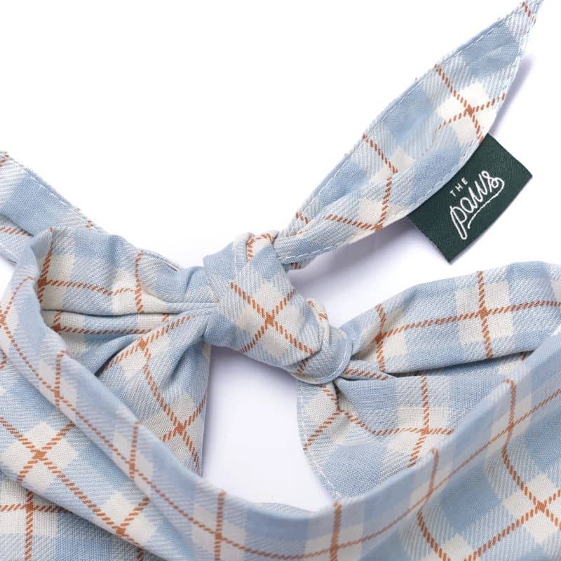 BANDANA POUR CHIEN - CARREAUX TARTAN BLEU CIEL "HARLOWE" - Image 2