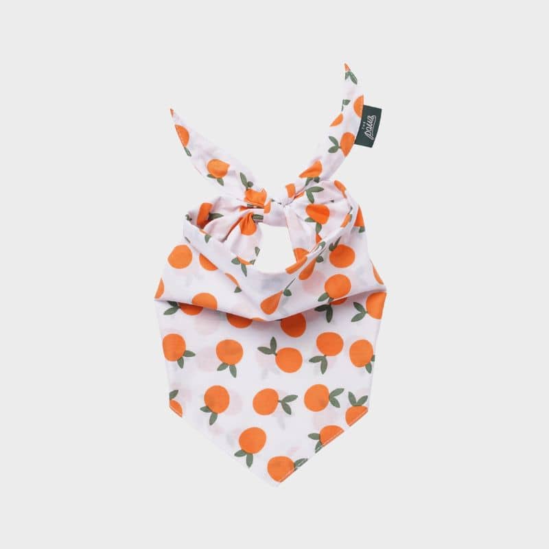 BANDANA POUR CHIEN - CLĂMENTINE đ