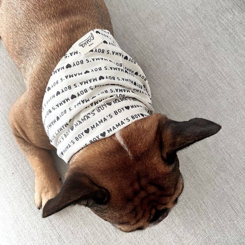 BANDANA POUR CHIEN - đ MAMA'S GIRL OU MAMA'S BOY đ - Image 2