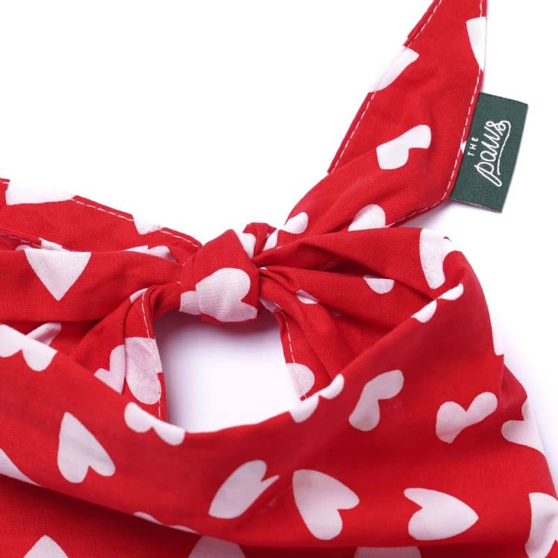 BANDANA POUR CHIEN - NANA - Image 3