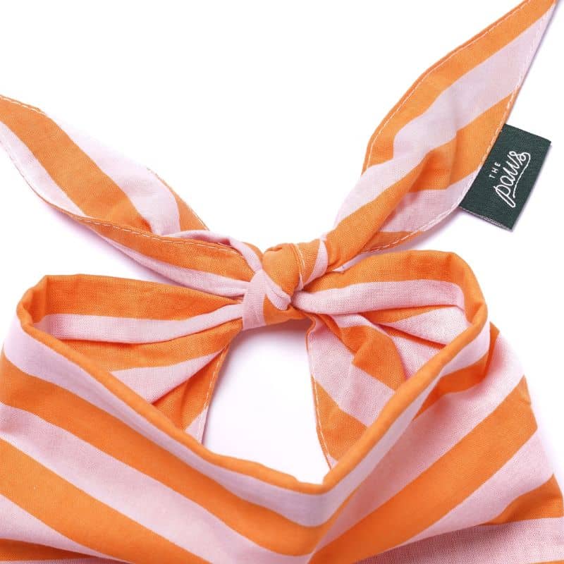 BANDANA POUR CHIEN - RAYURES ORANGE & ROSE "NUSA" - Image 4