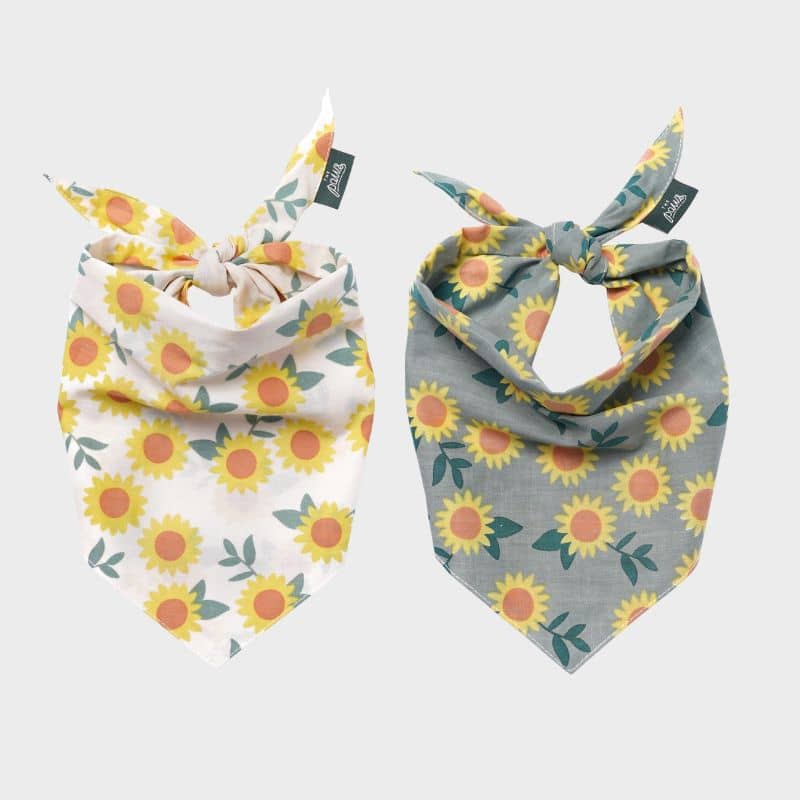 BANDANA POUR CHIEN - TOURNESOL "CULLIPHER" & "CROMWELL"