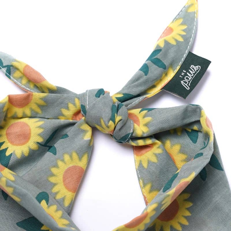 BANDANA POUR CHIEN - TOURNESOL "CULLIPHER" & "CROMWELL" - Image 6
