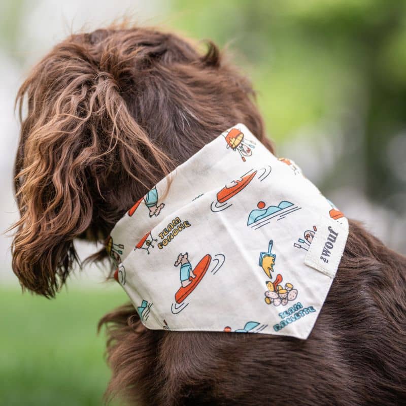 BANDANA POUR CHIEN - SOUVENIR D'ANNECY - Image 4