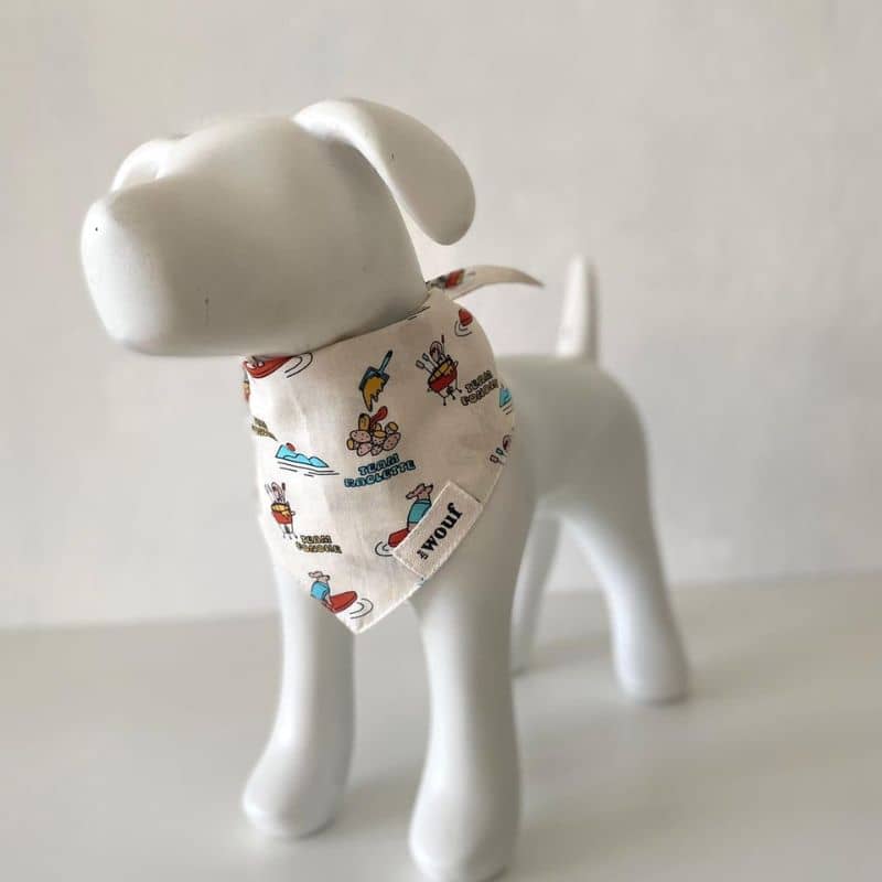 BANDANA POUR CHIEN - SOUVENIR D'ANNECY - Image 5