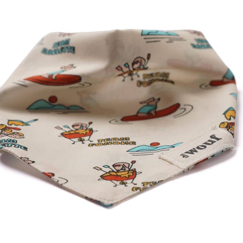 BANDANA POUR CHIEN - SOUVENIR D'ANNECY - Image 6