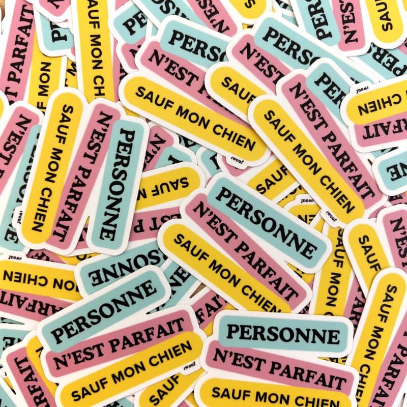 STICKER - PERSONNE N'EST PARFAIT SAUF MON CHIEN - Image 2