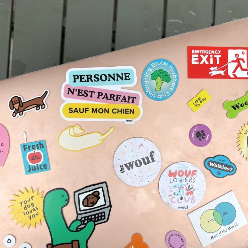 STICKER - PERSONNE N'EST PARFAIT SAUF MON CHIEN - Image 3