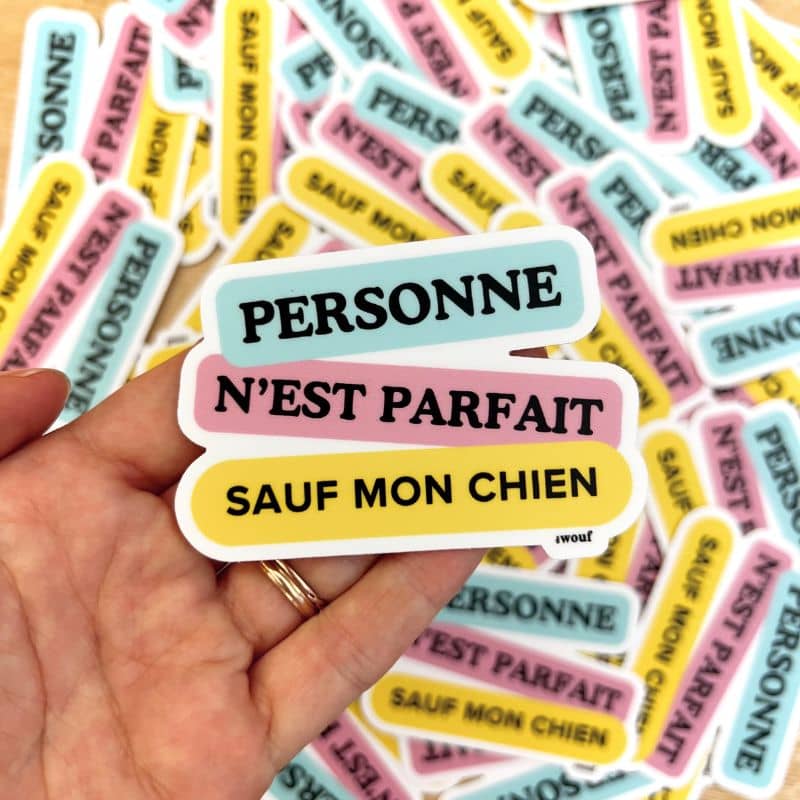 STICKER - PERSONNE N'EST PARFAIT SAUF MON CHIEN - Image 4