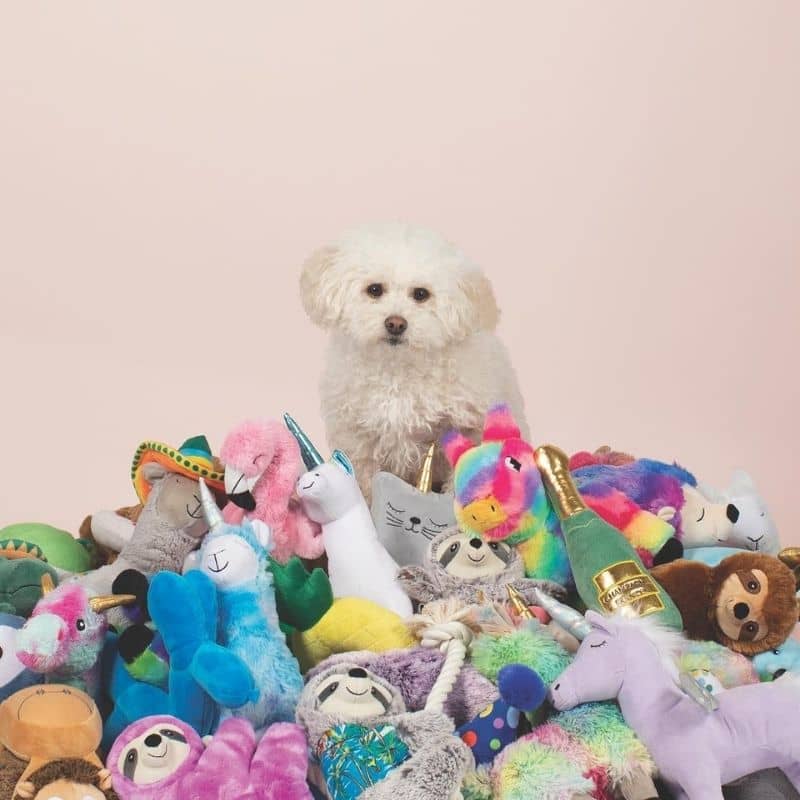 TRIO DE PELUCHES ANNIVERSAIRE POUR CHIEN - CUPCAKE, CHAPEAU ET COCARDE đ - Image 3