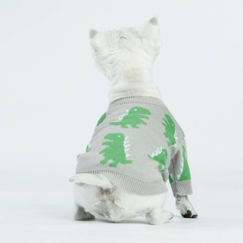 PULL POUR CHIEN - DINOSAURE GRIS 🦖 - Image 3
