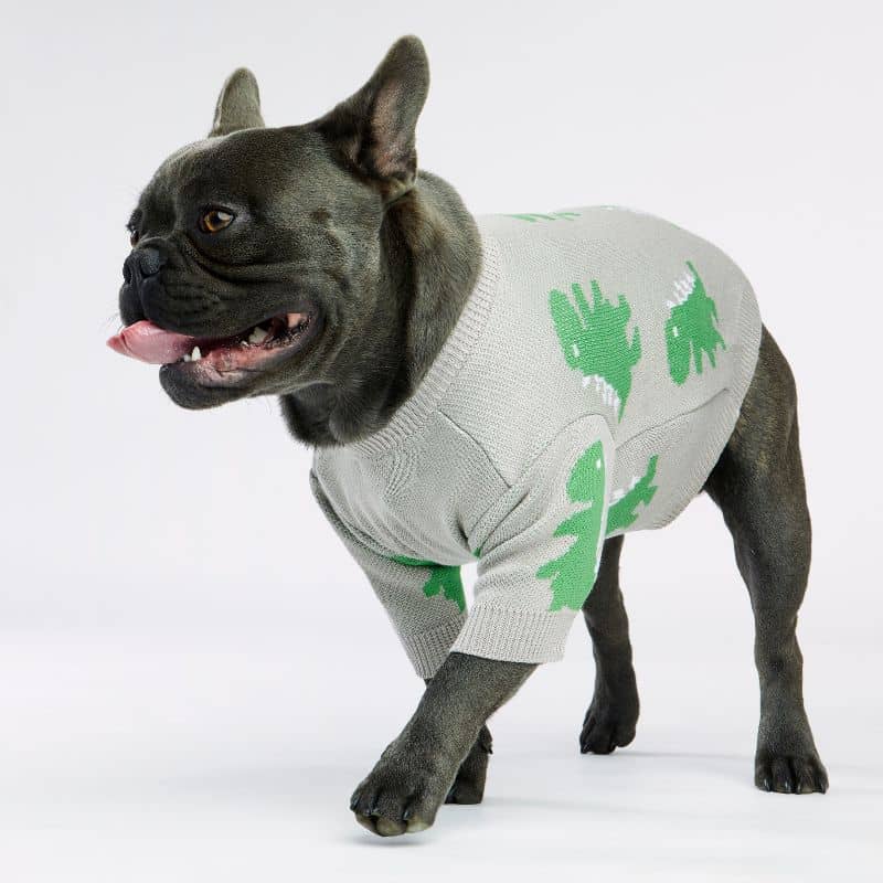 PULL POUR CHIEN - DINOSAURE GRIS 🦖 - Image 4