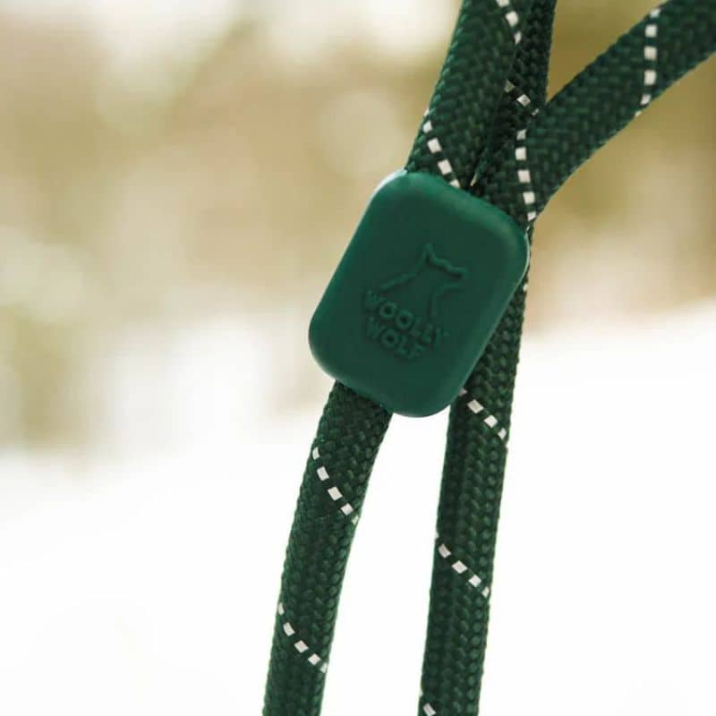 LAISSE EN CORDE POUR CHIEN - VERT FONCÉ EVERGREEN - Image 3