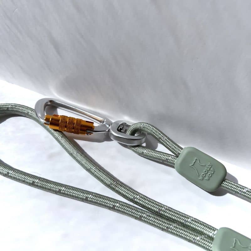 LAISSE RÉFLÉCHISSANTE EN CORDE POUR CHIEN - VERT GLACIER (2 TAILLES DISPO) - Image 2