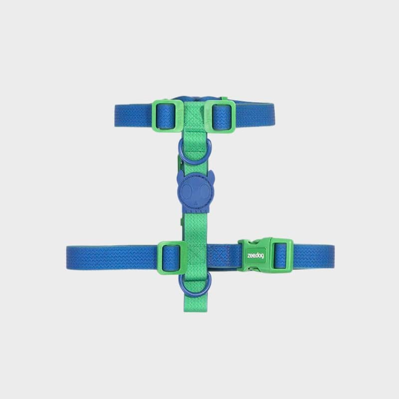 HARNAIS POUR CHIEN BICOLORE WATERPROOF - NEOPRO APEX BLEU & VERT