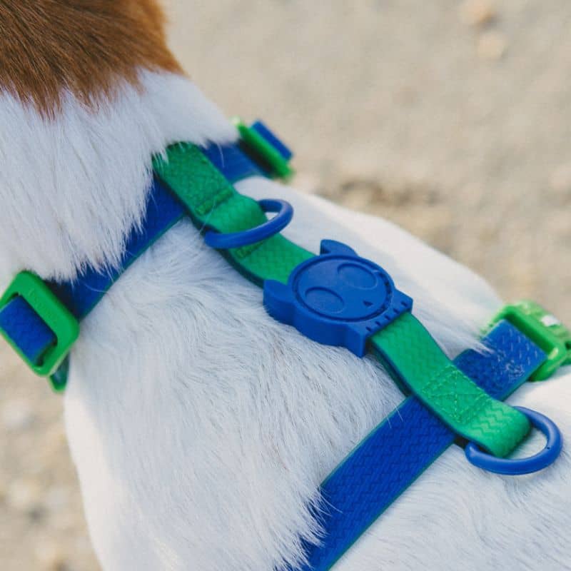 HARNAIS POUR CHIEN BICOLORE WATERPROOF - NEOPRO APEX BLEU & VERT - Image 3