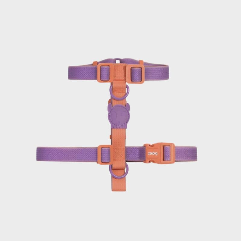 HARNAIS POUR CHIEN BICOLORE WATERPROOF - NEOPRO IRIS VIOLET & ORANGE