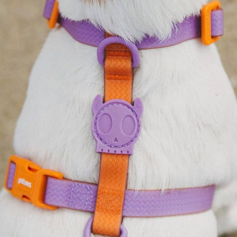 HARNAIS POUR CHIEN BICOLORE WATERPROOF - NEOPRO IRIS VIOLET & ORANGE - Image 2