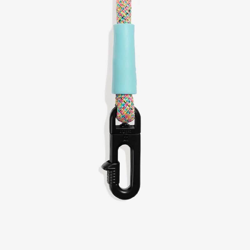 LAISSE MAINS-LIBRES POUR CHIEN - MULTICOLORE - Image 5